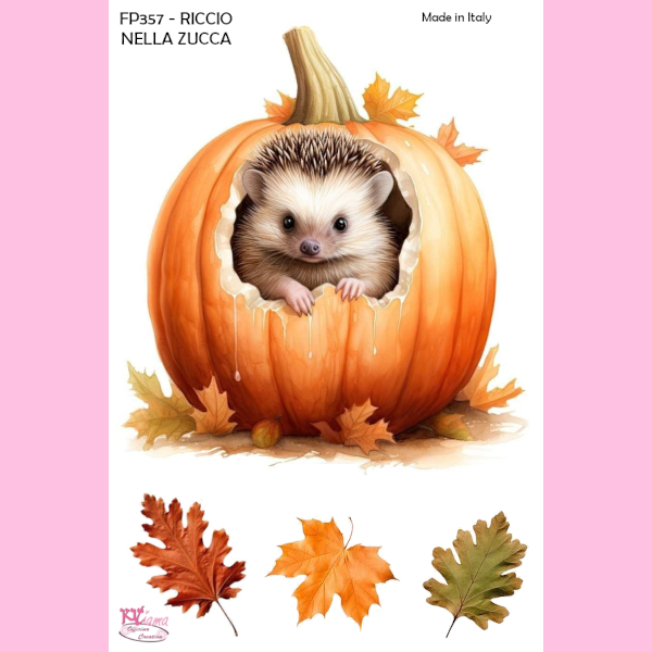 PANNELLO STAMPATO 20X30CM RICCIO NELLA ZUCCA