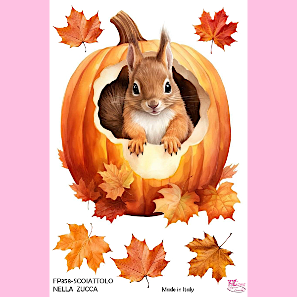 PANNELLO STAMPATO 20X30CM SCOIATTOLO NELLA ZUCCA