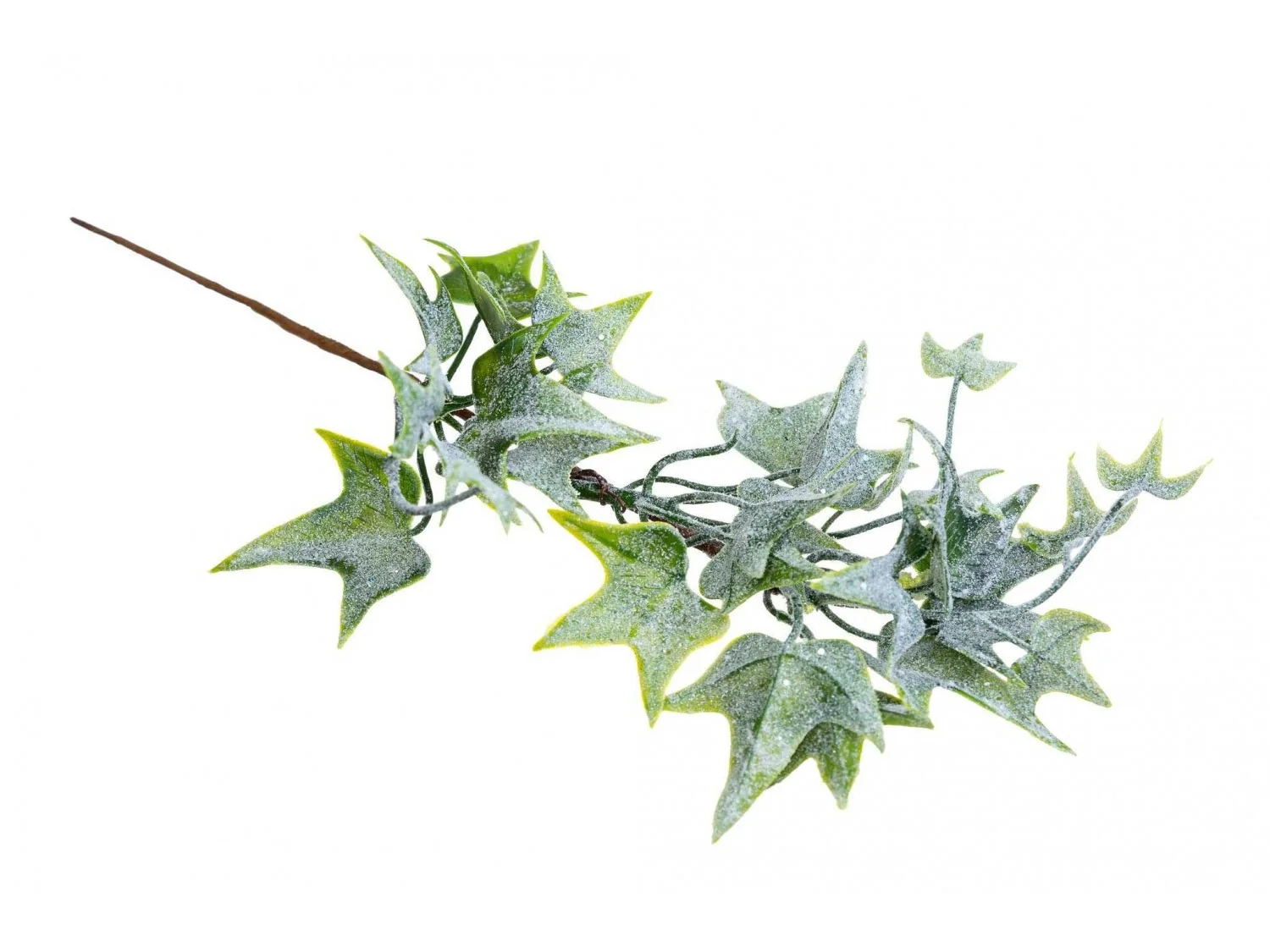 RAMO EDERA GHIACCIATA H. 26 CM