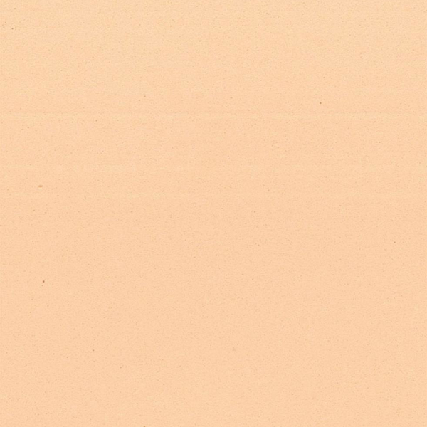 CARNE-A050