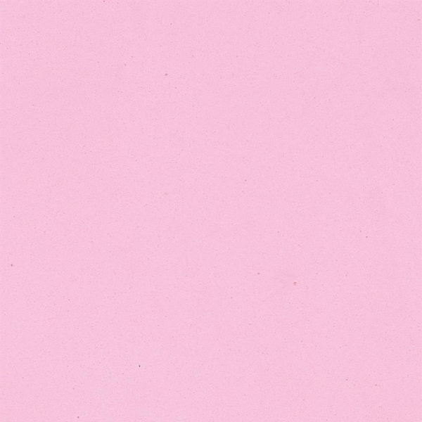 ROSA-N023