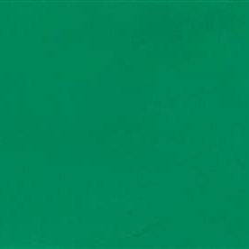 VERDE-N010